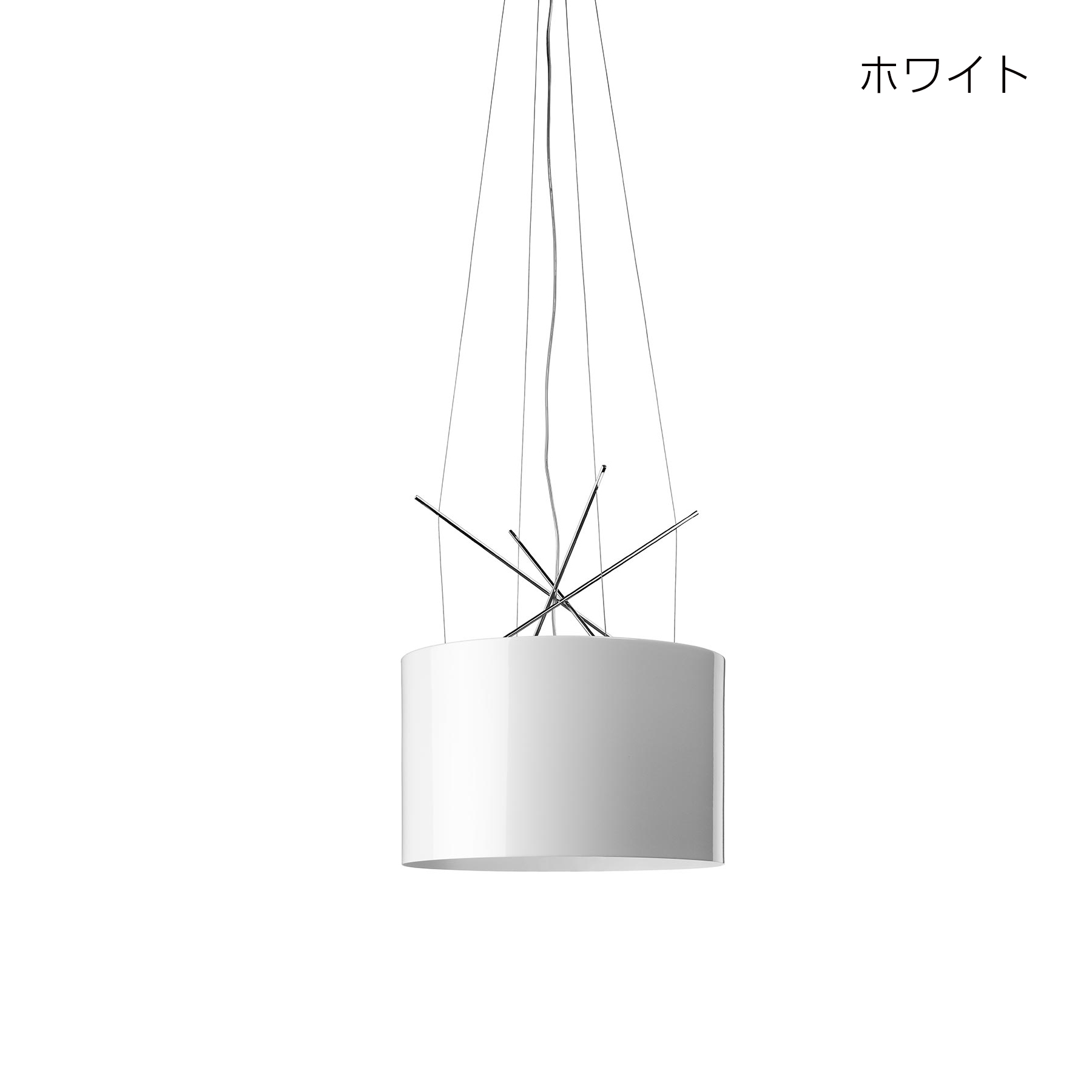 flos_rays