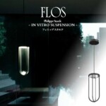 flos_invitrosuspension-150x150.jpg