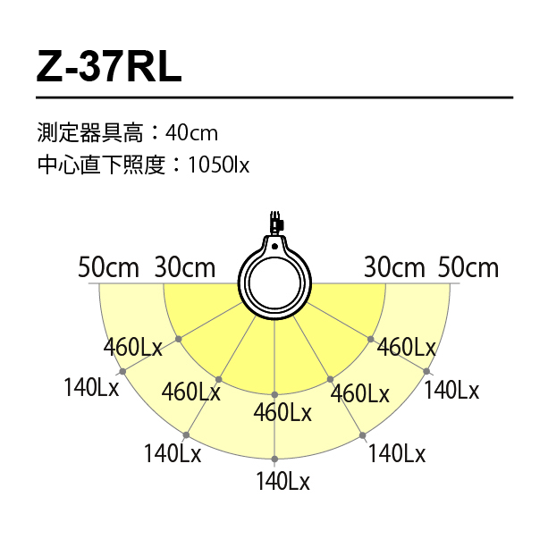 z37rl